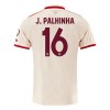 Goedkope FC Bayern München J. Palhinha 16 Third Shirt 2024-25 Goedkope FC Bayern München J. Palhinha 16 Third Shirt 2024-25